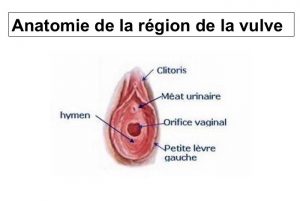 Nymphoplastie et hymenoplastie